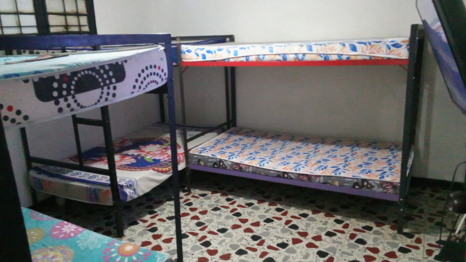 IMG-20241003-WA0172
